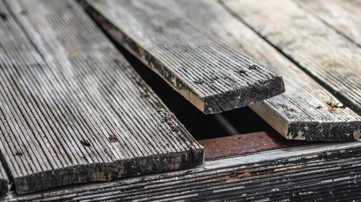 How to Know When Your Timber Deck Needs Replacing